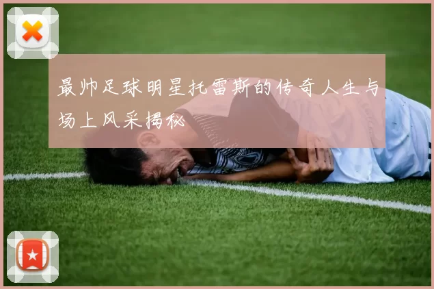 最帅足球明星托雷斯的传奇人生与场上风采揭秘