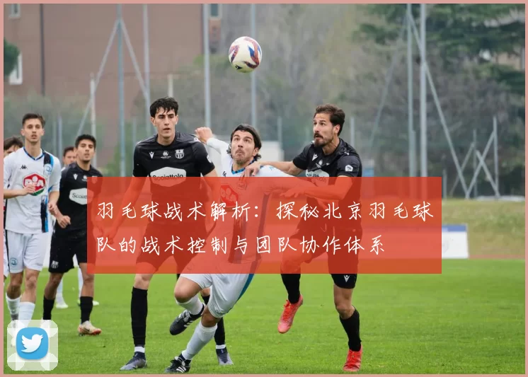 羽毛球战术解析：探秘北京羽毛球队的战术控制与团队协作体系